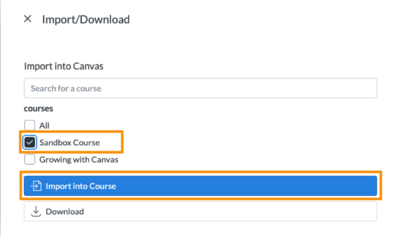 Select the Import into Course button.